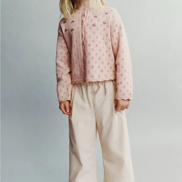 Zara Other - Zara Blush Knit Cardigan with Floral Embroidery